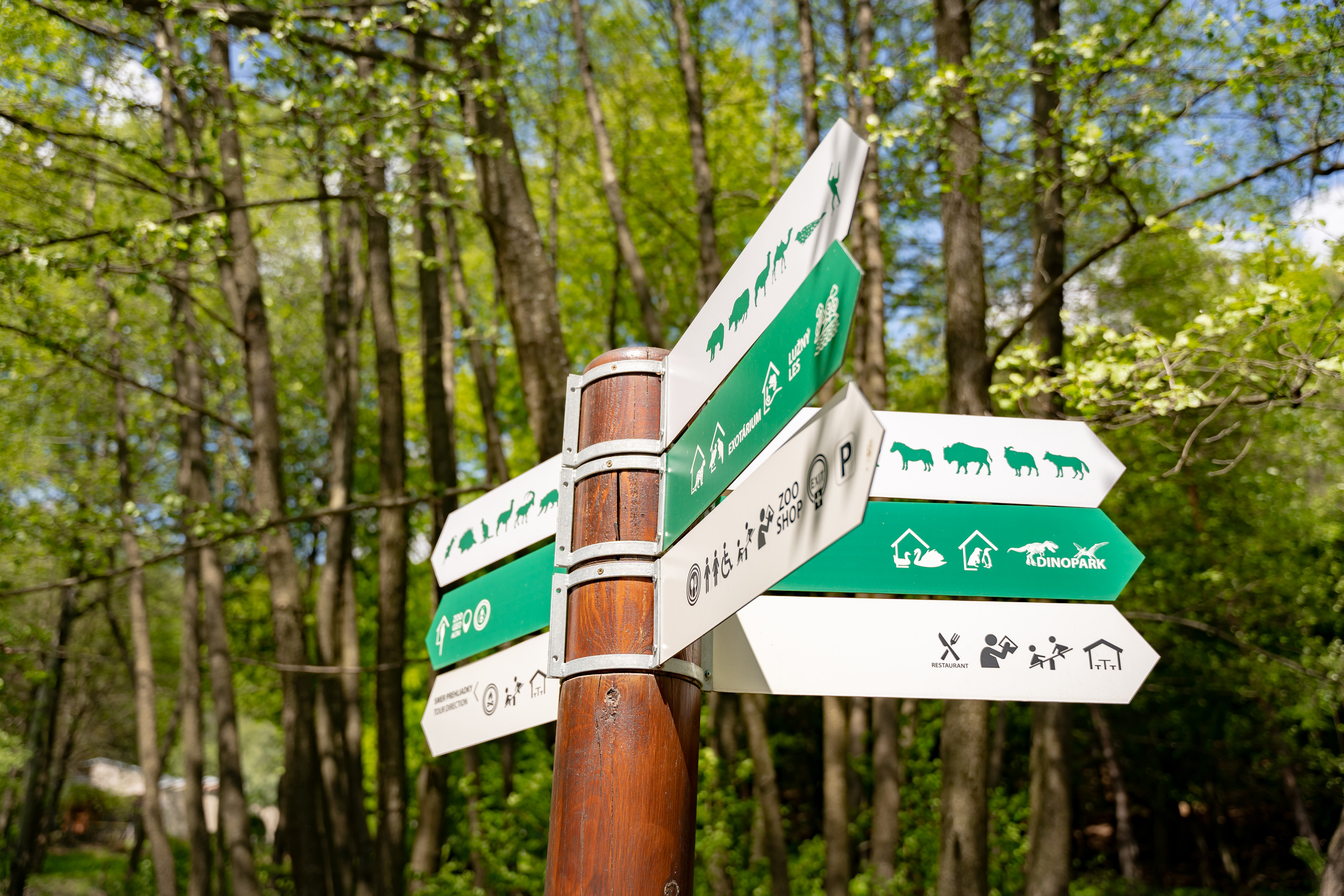 Slavnostne odomykanie brany ZOO Kosice-24